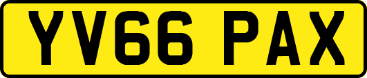 YV66PAX