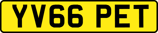 YV66PET