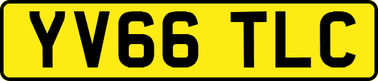 YV66TLC