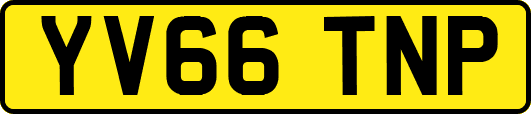 YV66TNP