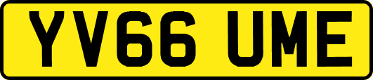YV66UME