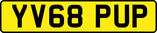 YV68PUP