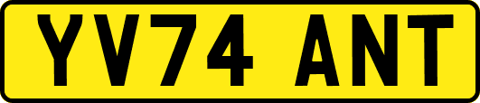 YV74ANT