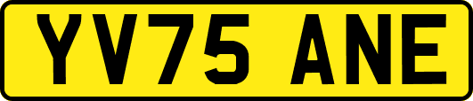 YV75ANE