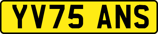 YV75ANS