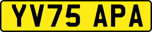 YV75APA