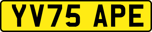 YV75APE