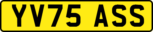 YV75ASS
