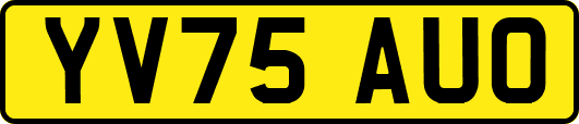 YV75AUO