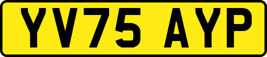 YV75AYP