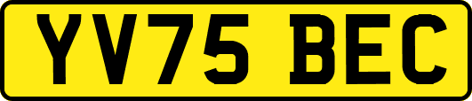 YV75BEC