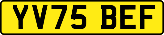 YV75BEF