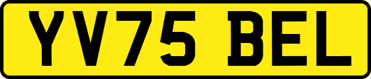 YV75BEL