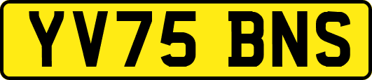YV75BNS