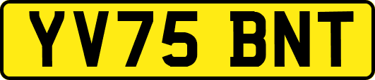 YV75BNT