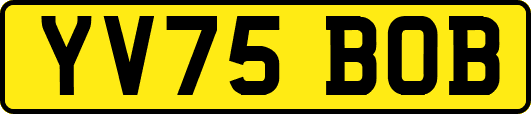 YV75BOB