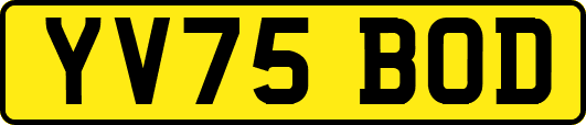 YV75BOD
