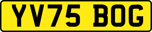 YV75BOG