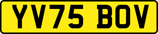 YV75BOV