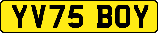 YV75BOY