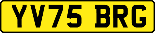 YV75BRG
