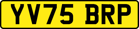 YV75BRP