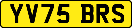 YV75BRS