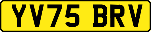 YV75BRV