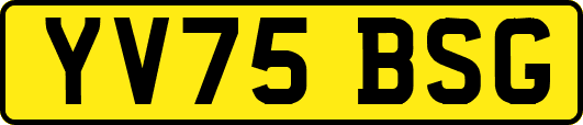 YV75BSG
