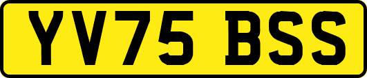 YV75BSS