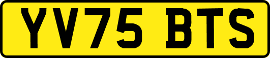 YV75BTS