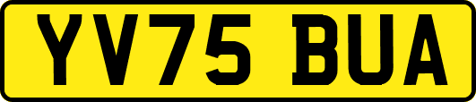 YV75BUA