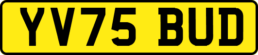 YV75BUD