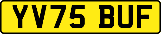 YV75BUF