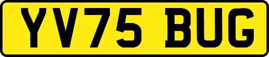 YV75BUG