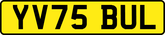 YV75BUL