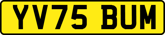 YV75BUM