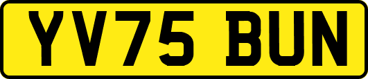 YV75BUN