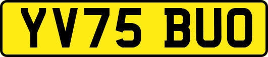 YV75BUO