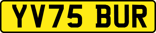 YV75BUR