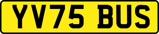 YV75BUS