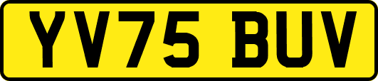 YV75BUV