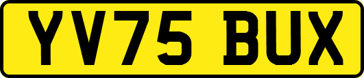 YV75BUX