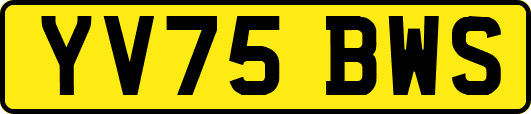 YV75BWS