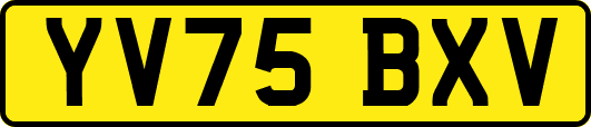 YV75BXV