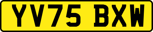 YV75BXW