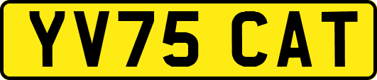 YV75CAT