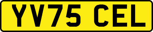 YV75CEL