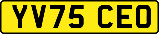 YV75CEO