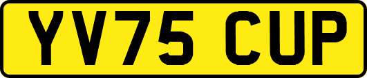 YV75CUP